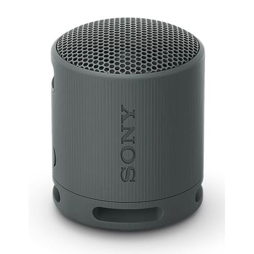 Беспроводная колонка Sony SRS-XB100 (черный)