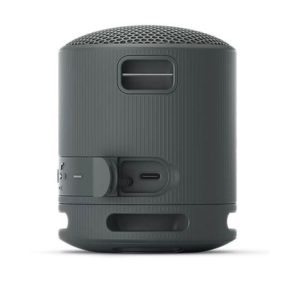 Беспроводная колонка Sony SRS-XB100 (черный)