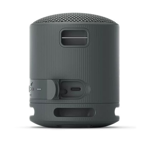 Беспроводная колонка Sony SRS-XB100 (черный)