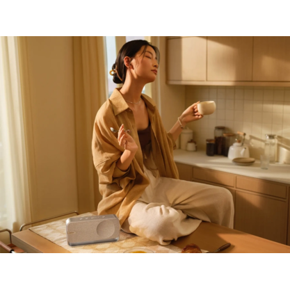 Беспроводная колонка Bose SoundLink Home Bluetooth Speaker (серебристый)