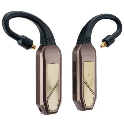 Беспроводные наушники iFi Audio GO pod Max