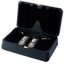 Беспроводные наушники iFi Audio GO pod Max