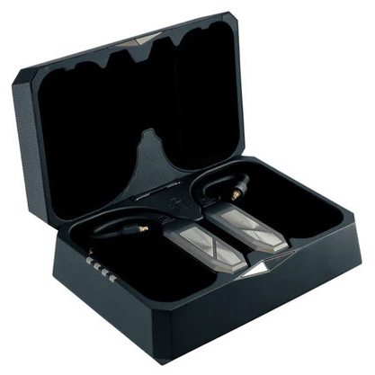 Беспроводные наушники iFi Audio GO pod Max