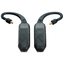 Беспроводные наушники iFi Audio GO pod Air