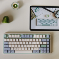 Varmilo VXT81 Eucalyptus Kailh Prestige Light