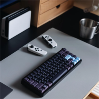 Varmilo muse65 Gateron&Varmilo TTC RGB Magnetic Switch Asgard