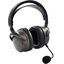 Игровые наушники Audeze Maxwell 2 for Xbox (черный)